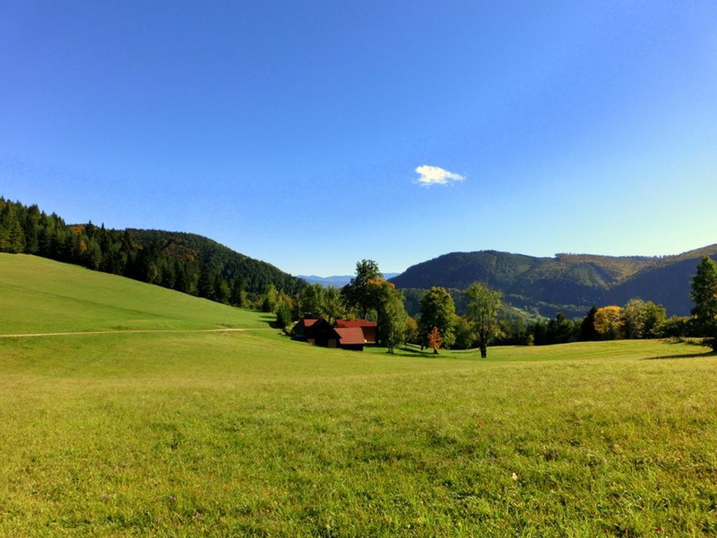 Gaestehaus Forstner Apartment