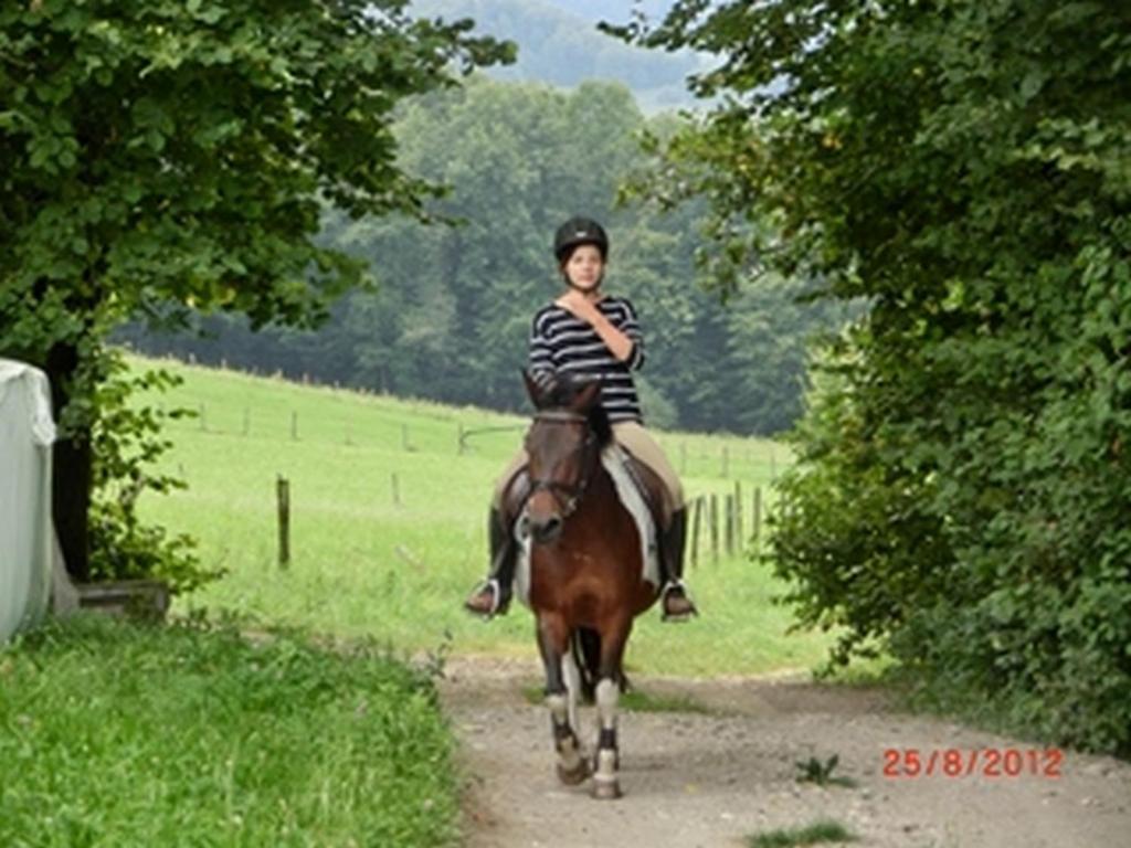 Gaestehaus Forstner * Loich