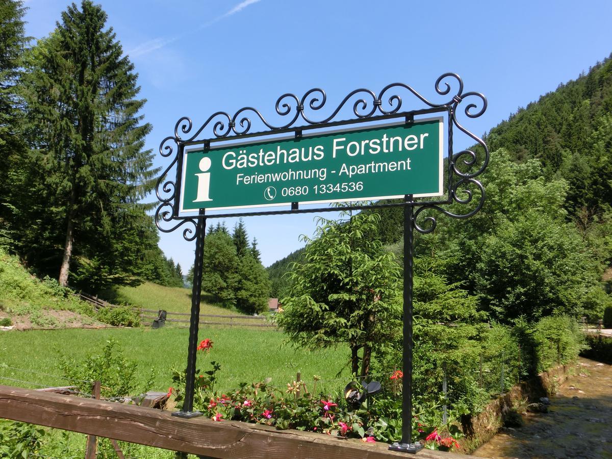 Gaestehaus Forstner Apartment *