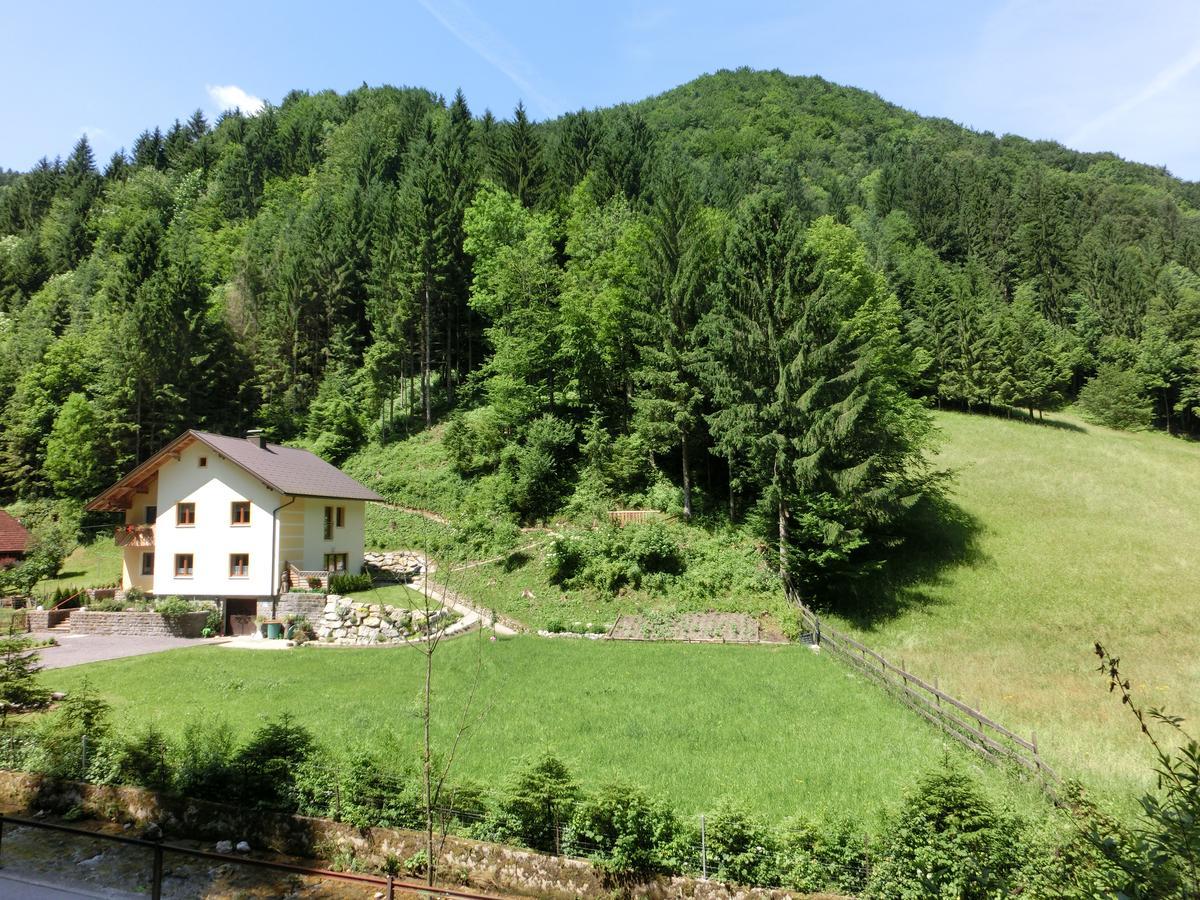 Apartment Gaestehaus Forstner