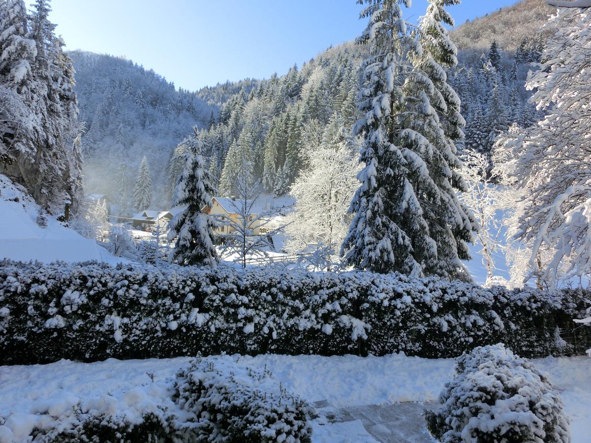 Gaestehaus Forstner *