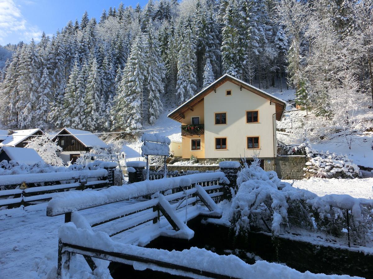 Gaestehaus Forstner *