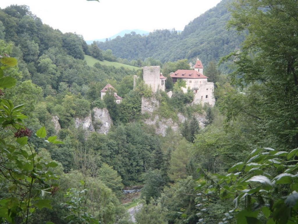 Gaestehaus Forstner Apartment Loich